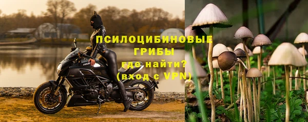 ПСИЛОЦИБИНОВЫЕ ГРИБЫ Бугульма