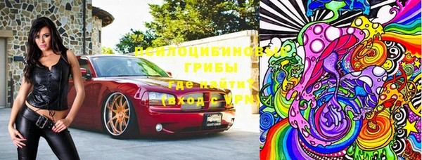 марки lsd Бородино