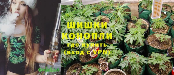 марки lsd Бородино